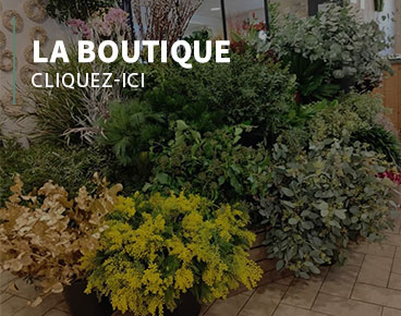 boutique de fleurs  Châteauneuf-sur-Loire 